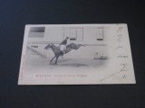 Școala de Cavalerie Saumur &bdquo;Săritori liberi.Croupade&rdquo; - Carte Poștală Vintage Franța (posibil perioada 1900-1940)
