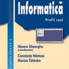 Informatica. Profil real - Clasa 10 - Manual - Mioara Gheorghe, Constanta Nastase