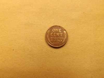 SUA 1 Cent 1956 foto