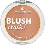 Blush Crush! 10 - Caramel Latte, 5g, Essence