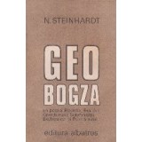 Geo Bogza un poet al Efectelor, Exaltarii, Grandiosului, Solemnitatii, Exuberantei si Patetismului