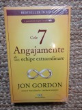 Cele 7 Angajamente ale unei echipe extraordinare - Jon Gordon IN TIPLA