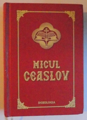 MICUL CEASLOV , 2010 foto