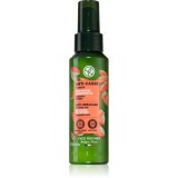 Yves Rocher Anti-Casse ser fortifiant &icirc;mpotriva părului fragil with Organic Jojoba 100 ml