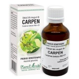 Extract din muguri de Carpen, 50ml, PlantExtrakt