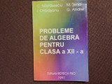 PROBLEME DE ALGEBRA PENTRU CLASA A XII A GHEORGHE ANDREI/C NASTASESCU