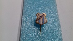 Insigna Rapid Arad foto