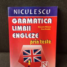 Gramatica Limbii Engleze prin teste - Alexandra Mihaescu, Elena Rieswick