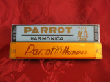 MUZICUTA PARROT HARMONICA 15.5 CM