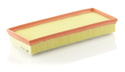 MANN-FILTER C 38 001 Filtru aer foto
