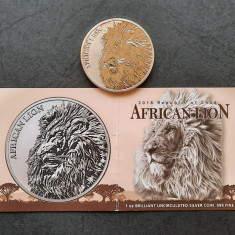 Lingou argint 999 "African Lion", Ciad 2018, BU - B 4627