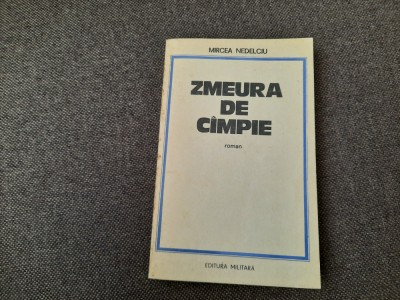 ZMEURA DE CAMPIE MIRCEA NEDELCIU PRINCEPS foto