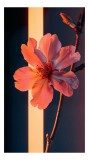 Tablou Canvas, "Floare de primăvară &icirc;n lumină caldă", Floare, Lumină, Textură, Culori, Eleganță, Delicatețe, Contrast, Natură, 26 x 39 cm, CMCLASS