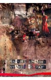 Starea de fapt - Gabriel Enache