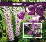 SIERRA LEONE 2020 - Flori, orhidee / colita, Stampilat
