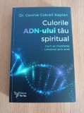 Culorile ADN-ului tau spiritual - Connie Cokrell Kaplan