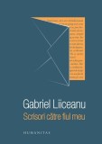 Scrisori către fiul meu - Paperback brosat - Gabriel Liiceanu - Humanitas
