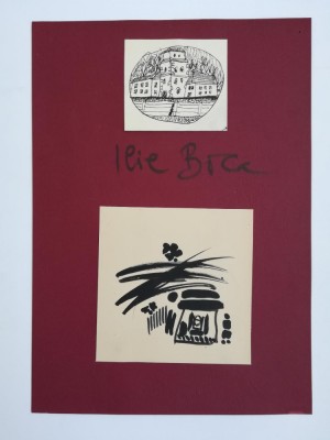 Ilie Boca desene foto