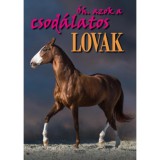 &Oacute;h. azok a csod&aacute;latos lovak - Bern&aacute;th Istv&aacute;n