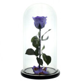 Cumpara ieftin Trandafir criogenat XL violet (&Oslash;=6,5cm) in cupola (12x25cm)