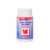 FAVIMIN (CA,MG,ZN SI FOSFOR) 40cps FAVISAN
