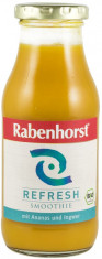 SMOOTHIE REFRESH BIO CU ANANAS SI GHIMBIR, 240ML RABENHORST foto