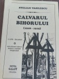 CALVARUL BIHORULUI 1918-1919 STELIAN VASILESCU