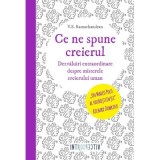 Ce ne spune creierul. Dezvaluiri extraordinare despre misterele creierului uman - V S Ramachandran