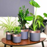 vidaXL Bandă din cupru dublă față 6 pcs Cupru 2000 x 5 cm Cupru