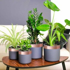 vidaXL Bandă din cupru dublă față 6 buc 6 pcs Cupru 2000 x 5 cm