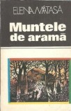 Muntele de arama - Elena Matasa