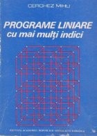 Programe liniare cu mai multi indici (Cerchez) foto