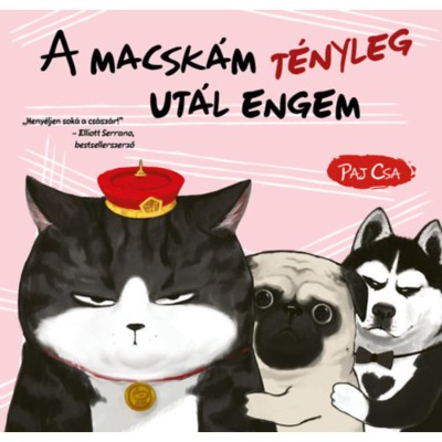 A macsk&amp;aacute;m t&amp;eacute;nyleg ut&amp;aacute;l engem - Macska &amp;eacute;s Kutya 2. - Paj Csa foto