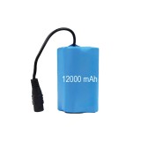 Cumpara ieftin Baterie litiu X2 12000 mAh