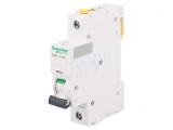 &Icirc;ntrerupător Supracurent 230V 20A 1P D