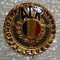 SV * Insigna AUTOMOBIL CLUBUL ROMAN * Membru ACR