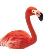 Figurina - Pasarea Flamingo | Safari
