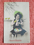 Carte postala. Felicitare de Sarbatorile Pascale, 1911