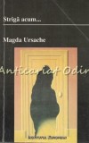 Cumpara ieftin Striga Acum - Magda Ursache, Roman, Editura Institutul European, 2000, 292 pagini