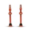 Valva Tubeless bicicleta P2R FR-11C, AL, 60mm, Portocaliu (OEM) Ultimate FactoryBikes