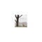 The Yearning Tree: A Children&#039;s Bereavement Resource