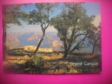 HOPCT 8233 MARELE CANION -PARC NATIONAL -SUA-AMERICA DE NORD -NECIRCULATA-