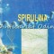 Spirulina. Nutrientul Miracol - Ing. Stefan Manea