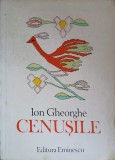 CENUSILE. MEDITATII-ION GHEORGHE