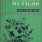 Duminica muntilor - Constantin Toiu