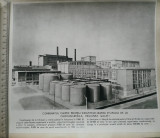 Fotografie Combinatul chimic pentru industrializarea stufului Chișcani Braila, Alb-Negru, Romania de la 1950, Cladiri