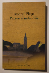 Andrei Ple?u - Pitoresc ?i melancolie (Humanitas, 2009) foto