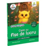 Caiet de fise de lucru grupa mica, Gama