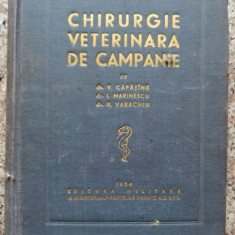 Chirurgie Veterinara De Camapanie - Colectiv ,552788