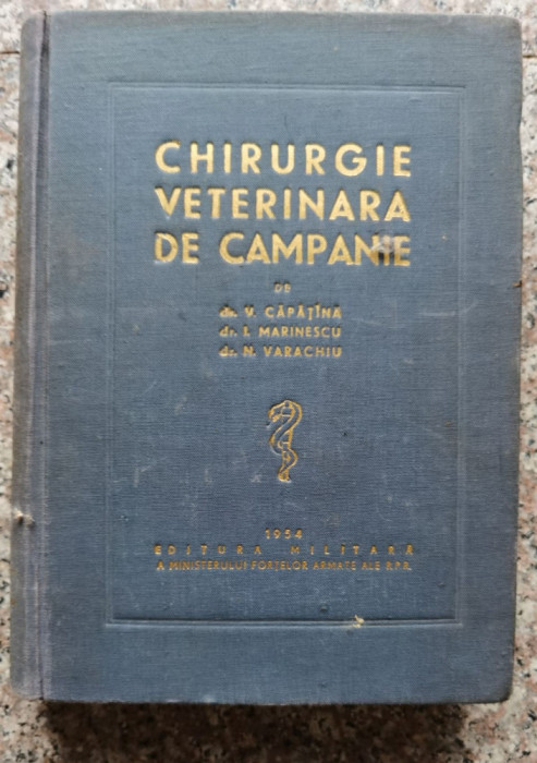 Chirurgie Veterinara De Camapanie - Colectiv ,552788